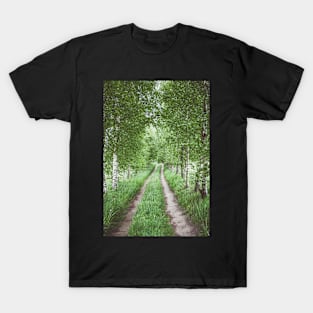 Alley of green birches T-Shirt